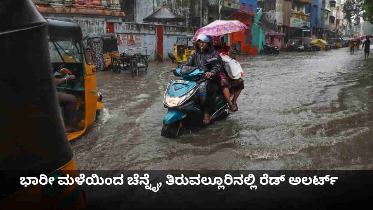 ದಿತ್ವಾ ಚಂಡಮಾರುತದ ಅಬ್ಬರ; ಭಾರೀ ಮಳೆಯಿಂದ ಚೆನ್ನೈ, ತಿರುವಲ್ಲೂರಿನಲ್ಲಿ ರೆಡ್ ಅಲರ್ಟ್