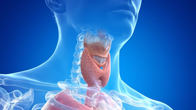 ಥೈರಾಯ್ಡ್ ಸಮಸ್ಯೆ ಇದ್ಯಾ? ಹಾಗಿದ್ರೆ ಈ ಆಹಾರಗಳನ್ನು ಸೇವನೆ ಮಾಡಬೇಡಿ