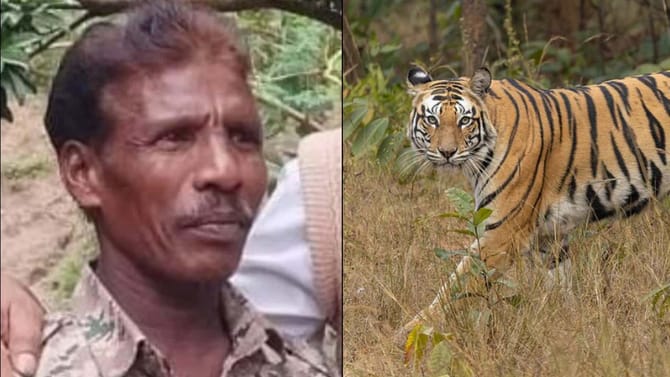 ಚಾಮರಾಜನಗರ: ಗಸ್ತು ತೆರಳಿದ್ದಾಗ ಹುಲಿ ದಾಳಿ; ಅರಣ್ಯ ಇಲಾಖೆ ಸಿಬ್ಬಂದಿ ಬಲಿ