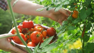 ಚಳಿಗಾಲದಲ್ಲಿ ನಿರಂತರ ಆಯಾಸ, ಆಲಸ್ಯವಾಗುವುದಕ್ಕೆ ಈ ವಿಟಮಿನ್ ಕೊರತೆಯೇ ಕಾರಣ!