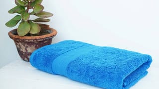 ಬಾತ್‌ ಟವೆಲ್‌ಗಳಲ್ಲಿ ವಿಶೇಷ ಪಟ್ಟಿ ಏಕಿರುತ್ತವೆ, ಅವುಗಳ ಕಾರ್ಯವಾದರೂ ಏನು ಗೊತ್ತಾ?