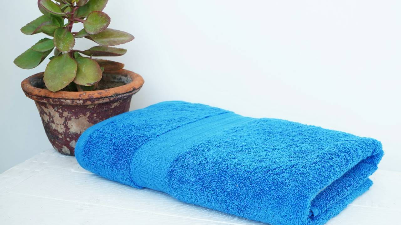 ಬಾತ್ ಟವೆಲ್ಗಳಲ್ಲಿ ವಿಶೇಷ ಪಟ್ಟಿ ಏಕಿರುತ್ತವೆ, ಅವುಗಳ ಕಾರ್ಯವಾದರೂ ಏನು ಗೊತ್ತಾ? ಬಾತ್ ಟವೆಲ್ಗಳಲ್ಲಿ ವಿಶೇಷ ಪಟ್ಟಿ ಏಕಿರುತ್ತವೆ, ಅವುಗಳ ಕಾರ್ಯವಾದರೂ ಏನು ಗೊತ್ತಾ?