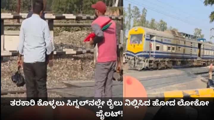 ತರಕಾರಿ ಕೊಳ್ಳಲು ಸಿಗ್ನಲ್ನಲ್ಲೇ ರೈಲು ನಿಲ್ಲಿಸಿದ ಹೋದ ಲೋಕೋ ಪೈಲಟ್! ತರಕಾರಿ ಕೊಳ್ಳಲು ಸಿಗ್ನಲ್ನಲ್ಲೇ ರೈಲು ನಿಲ್ಲಿಸಿದ ಹೋದ ಲೋಕೋ ಪೈಲಟ್!