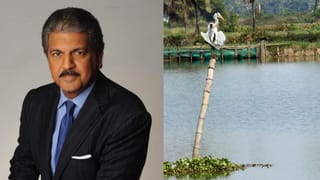 Viral: ಭಾರತಕ್ಕೆ ಹೋಲಿಸಿದ್ರೆ ವಿದೇಶದಲ್ಲಿ ಈ ಸಮಸ್ಯೆಗಳೇ ಇರಲ್ಲ; ಅನಿವಾಸಿ ಭಾರತೀಯ ಹೀಗೆಂದಿದ್ದೇಕೆ?