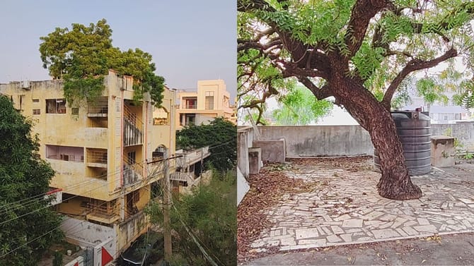 100 ವರ್ಷಗಳಷ್ಟು ಹಳೆಯ ಬೇವಿನ ಮರ ಕಡಿಯದೇ ಮನೆ ನಿರ್ಮಿಸಿದ ಕುಟುಂಬ