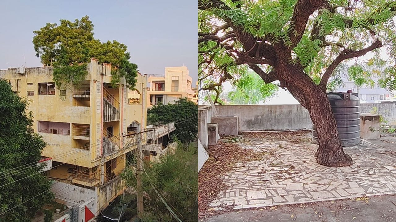 100 ವರ್ಷಗಳಷ್ಟು ಹಳೆಯ ಬೇವಿನ ಮರ ಕಡಿಯದೇ ಮನೆ ನಿರ್ಮಿಸಿದ ಕುಟುಂಬ 100 ವರ್ಷಗಳಷ್ಟು ಹಳೆಯ ಬೇವಿನ ಮರ ಕಡಿಯದೇ ಮನೆ ನಿರ್ಮಿಸಿದ ಕುಟುಂಬ