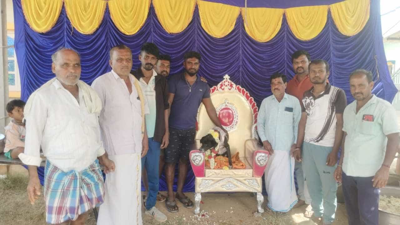 ಶ್ವಾನಕ್ಕೆ ಮಡಿಲು ತುಂಬಿ ಅದ್ಧೂರಿ ಸೀಮಂತ; 500 ಜನರಿಗೆ ಭರ್ಜರಿ ಭೋಜನ ಹಾಕಿದ ಮಾಲೀಕ! ಶ್ವಾನಕ್ಕೆ ಮಡಿಲು ತುಂಬಿ ಅದ್ಧೂರಿ ಸೀಮಂತ; 500 ಜನರಿಗೆ ಭರ್ಜರಿ ಭೋಜನ ಹಾಕಿದ ಮಾಲೀಕ!