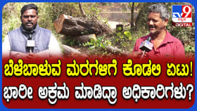 ಬೆಳೆಬಾಳುವ ಮರಗಳನ್ನೇ ಕಡಿದು ಮಾರಿಕೊಂಡ್ರಾ ಅಧಿಕಾರಿಗಳು?