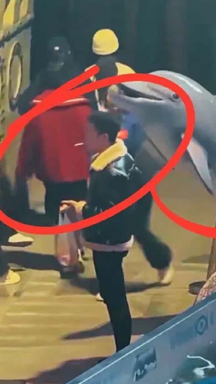 ಅಕ್ವೇರಿಯಂ ಬಳಿ ಸಿಗರೇಟ್ ಸೇದುತ್ತಿದ್ದ ಯುವಕನಿಗೆ ಪಾಠ ಕಲಿಸಿದ ತಿಮಿಂಗಿಲ