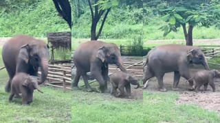 Video: ನಾಲ್ಕು ಗಂಟೆಯ ಮದ್ವೆಗೆ ಲಕ್ಷ ಲಕ್ಷ ಹಣ ಖರ್ಚು ಮಾಡುವ ಅಗತ್ಯ ಏನಿದೆ? ಇದು ವಾಸ್ತವಿಕ ಸತ್ಯ