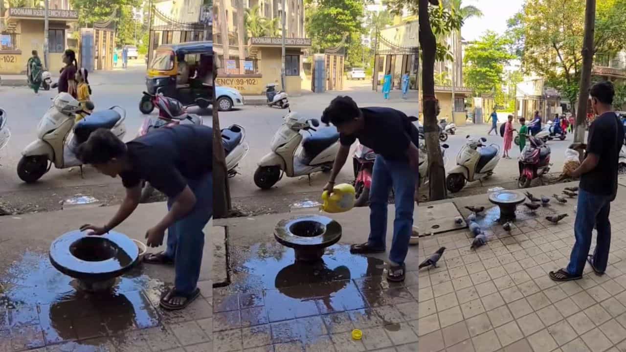Video: ನೀರು ಇಟ್ಟು, ಕಾಳು ಹಾಕಿ ಪಕ್ಷಿಗಳ ಹಸಿವು ನೀಗಿಸಿದ ಯುವಕ Video: ನೀರು ಇಟ್ಟು, ಕಾಳು ಹಾಕಿ ಪಕ್ಷಿಗಳ ಹಸಿವು ನೀಗಿಸಿದ ಯುವಕ
