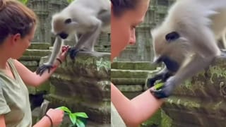 Video: ತಲೆ ಮೇಲೆ ಮನೆ ಜವಾಬ್ದಾರಿ, ಬೆನ್ನ ಮೇಲೆ ಭವಿಷ್ಯ; ಈ ಹುಡುಗಿಯದು ಹೋರಾಟದ ಬದುಕು