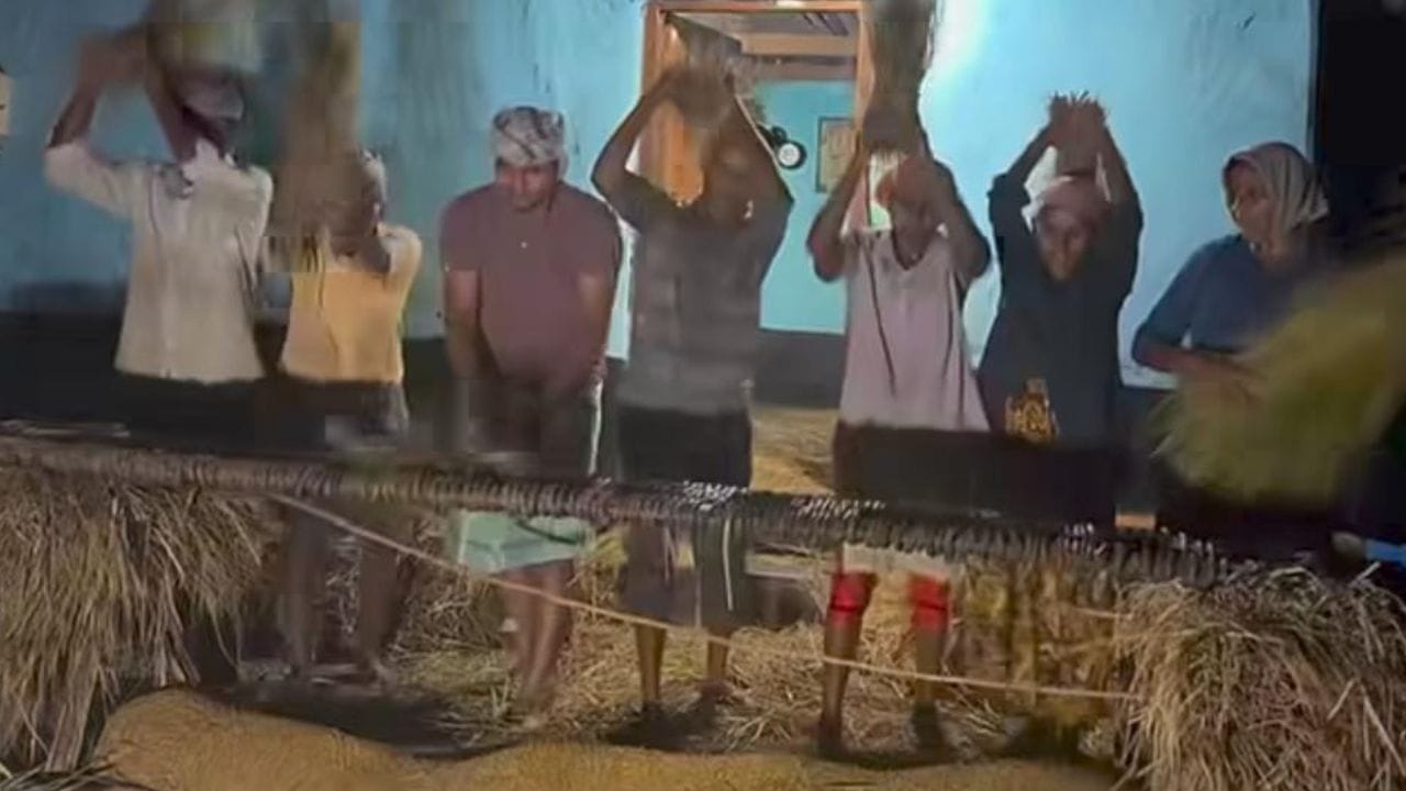 Video: ಇದು ಹಳ್ಳಿ ಜೀವನದ ಗಮ್ಮತ್ತು; ಕೃಷಿ ಕಾಯಕದಲ್ಲಿ ನಿರತರಾಗಿರುವ ಹಳ್ಳಿ ಜನ್ರು Video: ಇದು ಹಳ್ಳಿ ಜೀವನದ ಗಮ್ಮತ್ತು; ಕೃಷಿ ಕಾಯಕದಲ್ಲಿ ನಿರತರಾಗಿರುವ ಹಳ್ಳಿ ಜನ್ರು