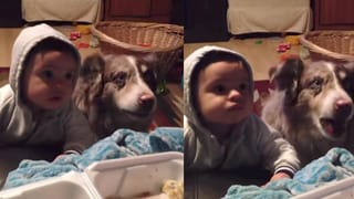 Video: ಪುಟ್ಟ ಕಂದಮ್ಮನಿಗೆ ಅಮ್ಮ ಎಂದು ಹೇಳಲು ಕಲಿಸುತ್ತಿದ್ದಂತೆ ಮುದ್ದಾಗಿ ರಿಯಾಕ್ಷನ್ ಕೊಟ್ಟ ಶ್ವಾನ