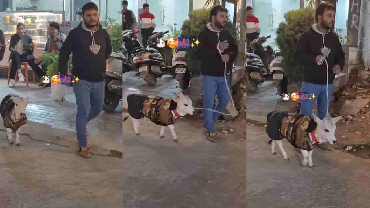 Video: ಕರುವಿನೊಂದಿಗೆ ವಾಕಿಂಗ್ ಹೊರಟ ಯುವಕ, ವೈರಲ್ ಆಯ್ತು ದೃಶ್ಯ