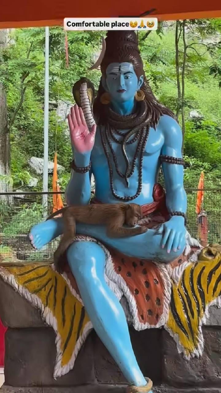 ಶಿವನ ಮಡಿಲಲ್ಲಿ ಹಾಯಾಗಿ ಮಲಗಿದ ಕೋತಿ