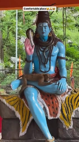 ಶಿವನ ಮಡಿಲಲ್ಲಿ ಹಾಯಾಗಿ ಮಲಗಿದ ಕೋತಿ