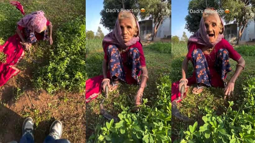 Video: ಅಜ್ಜಿಯ ಮುಂದೆ ಪ್ರತ್ಯಕ್ಷನಾಗಿ ಸರ್ಪ್ರೈಸ್ ನೀಡಿದ ಮೊಮ್ಮಗ
