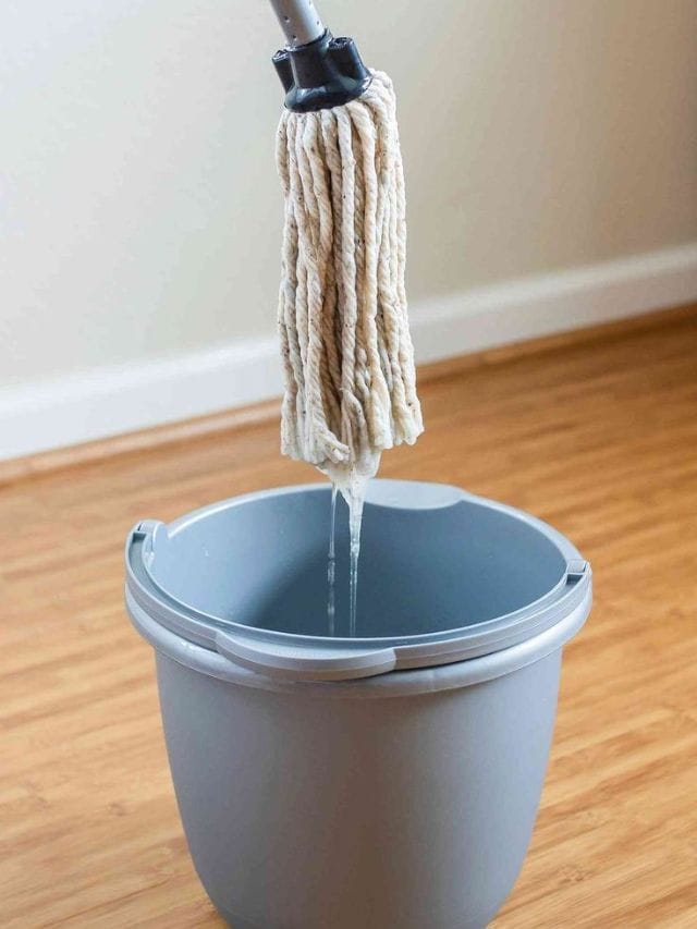 ಮನೆಯೆಲ್ಲಾ ಘಮಘಮಿಸಲು ನೆಲ ಒರೆಸುವ ನೀರಿಗೆ ಈ ವಸ್ತುಗಳನ್ನು ಬೆರೆಸಿ