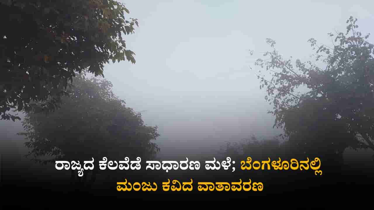 ಕರ್ನಾಟಕ ಹವಾಮಾನ ವರದಿ: ರಾಜ್ಯದ ಕೆಲವೆಡೆ ಸಾಧಾರಣ ಮಳೆ; ಬೆಂಗಳೂರಿನಲ್ಲಿ ಮಂಜು ಕವಿದ ವಾತಾವರಣ