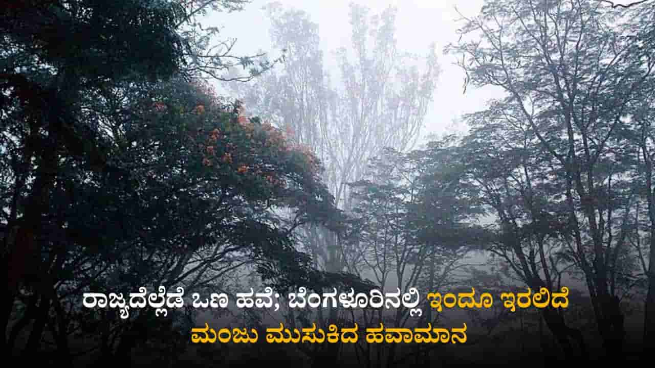 ಕರ್ನಾಟಕ ಹವಾಮಾನ ವರದಿ: ರಾಜ್ಯದೆಲ್ಲೆಡೆ ಒಣ ಹವೆ; ಬೆಂಗಳೂರಿನಲ್ಲಿ ಇಂದೂ ಇರಲಿದೆ ಮಂಜು ಮುಸುಕಿದ ಹವಾಮಾನ