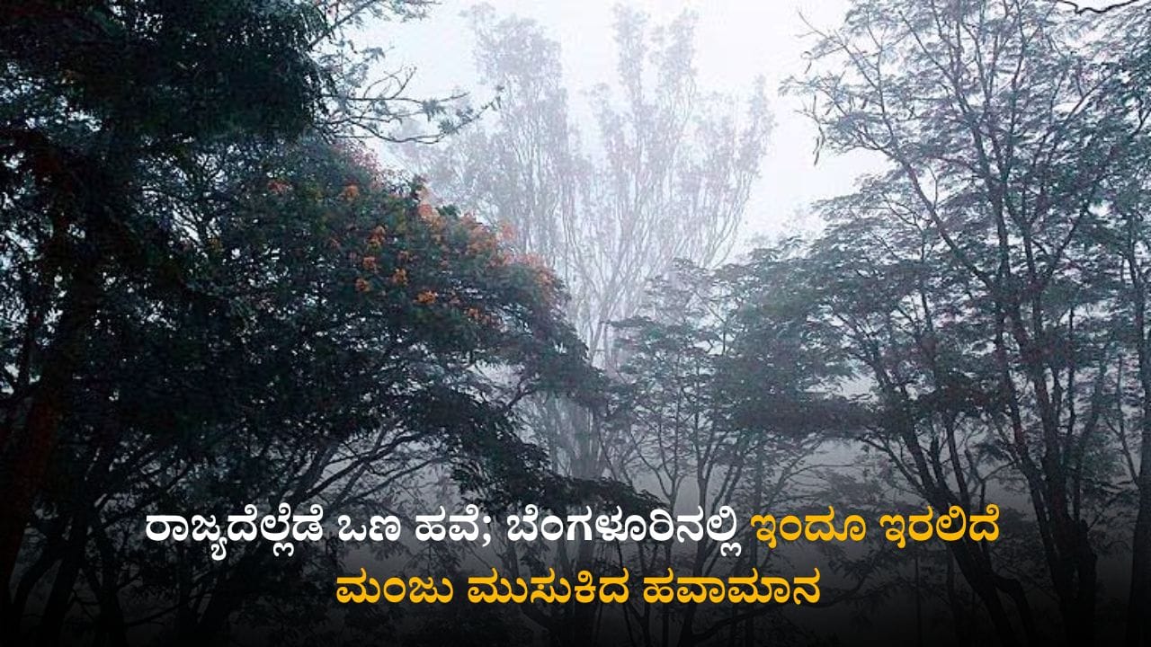 ಕರ್ನಾಟಕ ಹವಾಮಾನ ವರದಿ: ರಾಜ್ಯದೆಲ್ಲೆಡೆ ಒಣ ಹವೆ; ಬೆಂಗಳೂರಿನಲ್ಲಿ ಇಂದೂ ಇರಲಿದೆ ಮಂಜು ಮುಸುಕಿದ ಹವಾಮಾನ ಕರ್ನಾಟಕ ಹವಾಮಾನ ವರದಿ: ರಾಜ್ಯದೆಲ್ಲೆಡೆ ಒಣ ಹವೆ; ಬೆಂಗಳೂರಿನಲ್ಲಿ ಇಂದೂ ಇರಲಿದೆ ಮಂಜು ಮುಸುಕಿದ ಹವಾಮಾನ