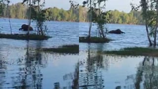 Video: ಅಡಿಯಾಲ ಜೈಲಿನ ಹೊರಗೆ ಪಾಕ್ ಮಾಜಿ ಪ್ರಧಾನಿ ಸಹೋದರಿ ಮೇಲೆ ನೀರೆರೆಚಿದ ಪೊಲೀಸರು