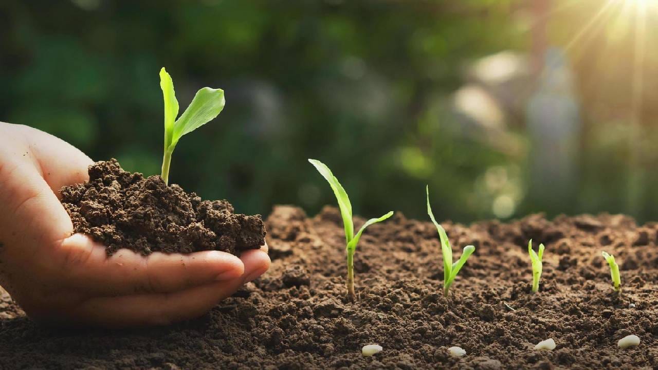 World Soil Day 2025: ಮಣ್ಣಿನ ಸಂರಕ್ಷಣೆ ಎಲ್ಲರ ಹೊಣೆ World Soil Day 2025: ಮಣ್ಣಿನ ಸಂರಕ್ಷಣೆ ಎಲ್ಲರ ಹೊಣೆ