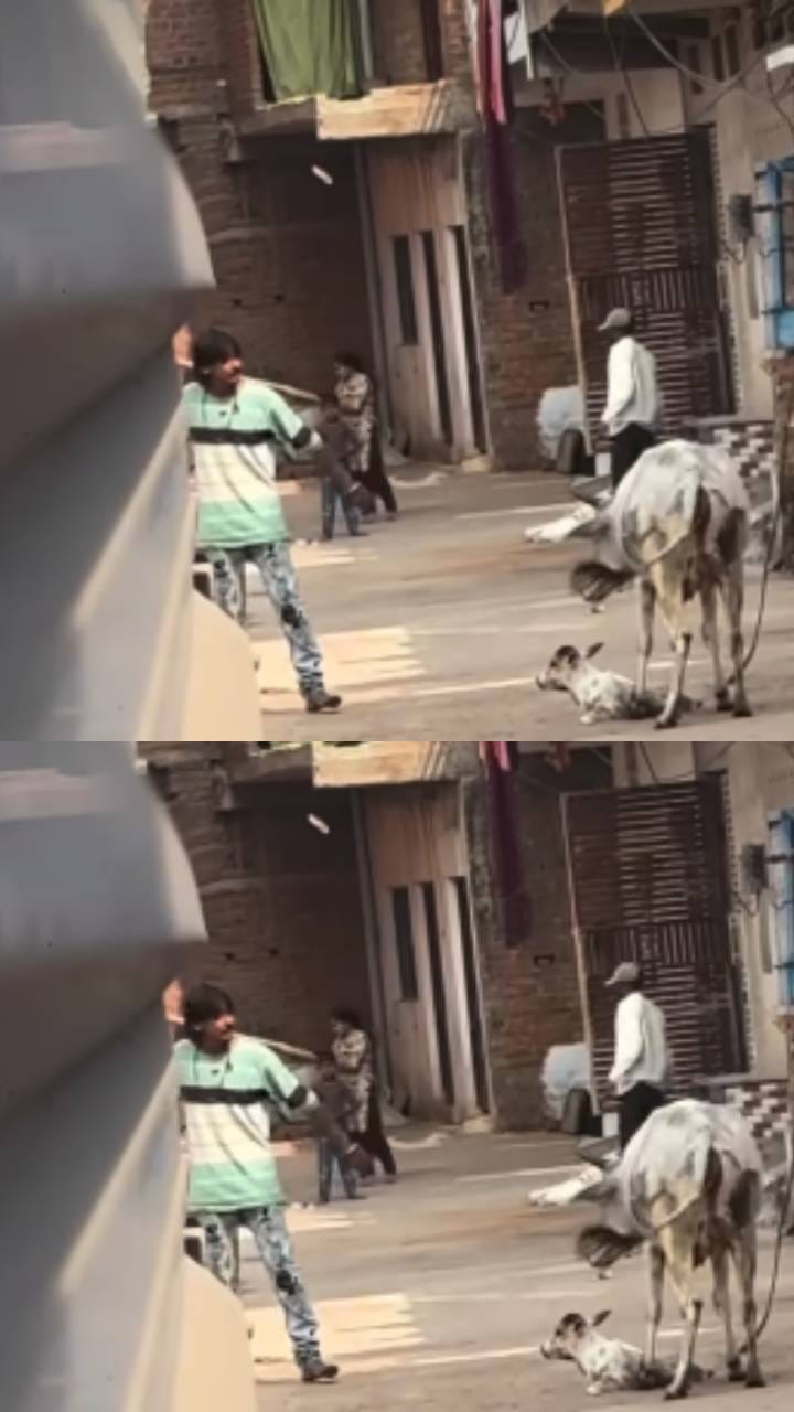 ಬೀದಿ ಕರುವಿಗೆ ದೊಣ್ಣೆಯಲ್ಲಿ ಹೊಡೆದ ವ್ಯಕ್ತಿಗೆ ಬಿತ್ತು ಭರ್ಜರಿ ಗೂಸಾ