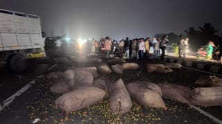 ಹಾಸನ: ಹೊಸ ವರ್ಷದ ಮೊದಲ ದಿನವೇ ಭೀಕರ ದುರಂತ; ವಾಹನ​ ಪಲ್ಟಿಯಾಗಿ ಮೂವರು ಸ್ಥಳದಲ್ಲೇ ಸಾವು