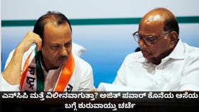 ಎನ್​ಸಿಪಿ ಮತ್ತೆ ವಿಲೀನವಾಗುತ್ತಾ? ಅಜಿತ್ ಪವಾರ್ ಕೊನೆಯಾಸೆ ಬಗ್ಗೆ ಚರ್ಚೆ