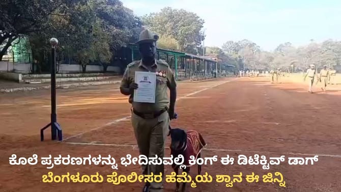 ಕೊಲೆ ಪ್ರಕರಣಗಳನ್ನು ಭೇದಿಸುವಲ್ಲಿ ಕಿಂಗ್ ಈ ಡಿಟೆಕ್ಟಿವ್ ಡಾಗ್ ಜಿನ್ನಿ!