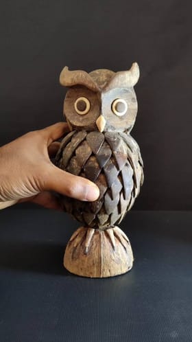 ತೆಂಗಿನ ಗೆರಟೆಯಲ್ಲಿ ಮೂಡಿದ ಗೂಬೆ