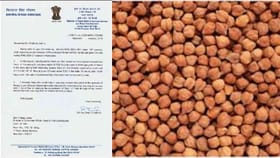 ರಾಜ್ಯ ಕಡಲೆ ಬೆಳೆಗಾರರ ಬೆನ್ನಿಗೆ ನಿಂತ ಕೇಂದ್ರ ಸರ್ಕಾರ