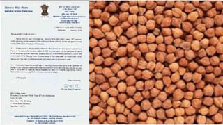 ರಾಜ್ಯ ಕಡಲೆ ಬೆಳೆಗಾರರ ಬೆನ್ನಿಗೆ ನಿಂತ ಕೇಂದ್ರ ಸರ್ಕಾರ, ಬೆಂಬಲ ಬೆಲೆ ಎಷ್ಟು?