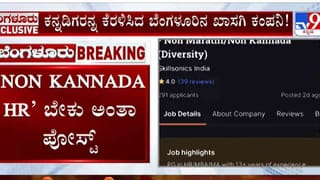 Video: ಜಮ್ಮು-ಕಾಶ್ಮೀರದ ಗಡಿಯಲ್ಲಿ ಐದು ಪಾಕಿಸ್ತಾನಿ ಡ್ರೋನ್​ಗಳು ಪತ್ತೆ, ಹೈ ಅಲರ್ಟ್​