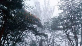 ರಾಜ್ಯದಾದ್ಯಂತ ಆವರಿಸಿದ ಒಣ ಹವೆ