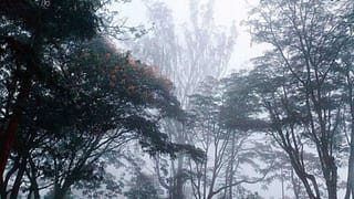 ಕರ್ನಾಟಕ ಹವಾಮಾನ ವರದಿ: ರಾಜ್ಯದಾದ್ಯಂತ ಆವರಿಸಿದ ಒಣ ಹವೆ; ಬೆಂಗಳೂರಲ್ಲಿ ಮಂಜು ಕವಿದ ವಾತಾವರಣ