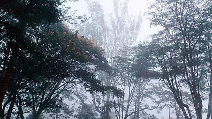 ಕರ್ನಾಟಕ ಹವಾಮಾನ ವರದಿ: ರಾಜ್ಯದಾದ್ಯಂತ ಆವರಿಸಿದ ಒಣ ಹವೆ; ಬೆಂಗಳೂರಲ್ಲಿ ಮಂಜು ಕವಿದ ವಾತಾವರಣ