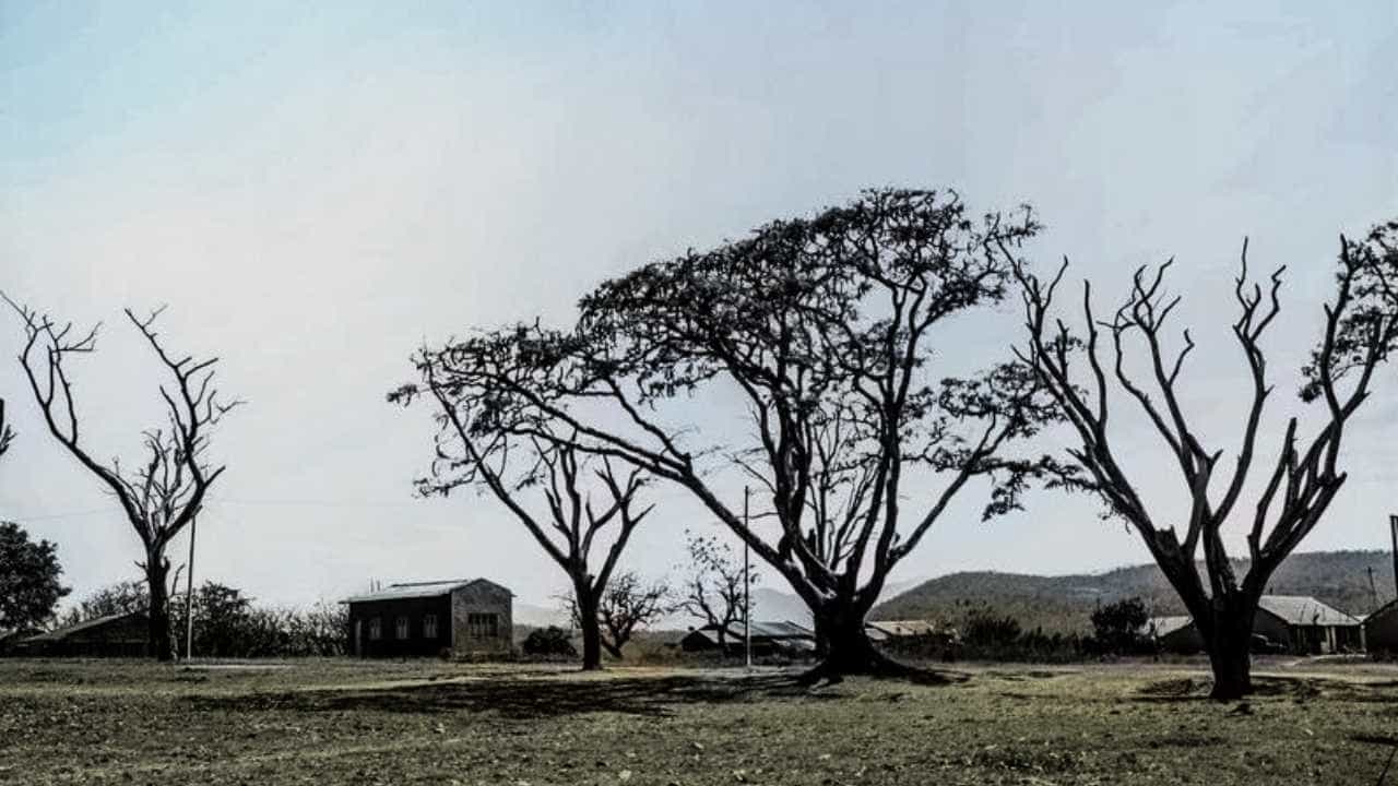 ಕರ್ನಾಟಕ ಹವಾಮಾನ ವರದಿ: ಇಂದೂ ರಾಜ್ಯದೆಲ್ಲೆಡೆ ಒಣ ಹವೆ, ಮಂಜು ಕವಿದ ವಾತಾವರಣ ಕರ್ನಾಟಕ ಹವಾಮಾನ ವರದಿ: ಇಂದೂ ರಾಜ್ಯದೆಲ್ಲೆಡೆ ಒಣ ಹವೆ, ಮಂಜು ಕವಿದ ವಾತಾವರಣ