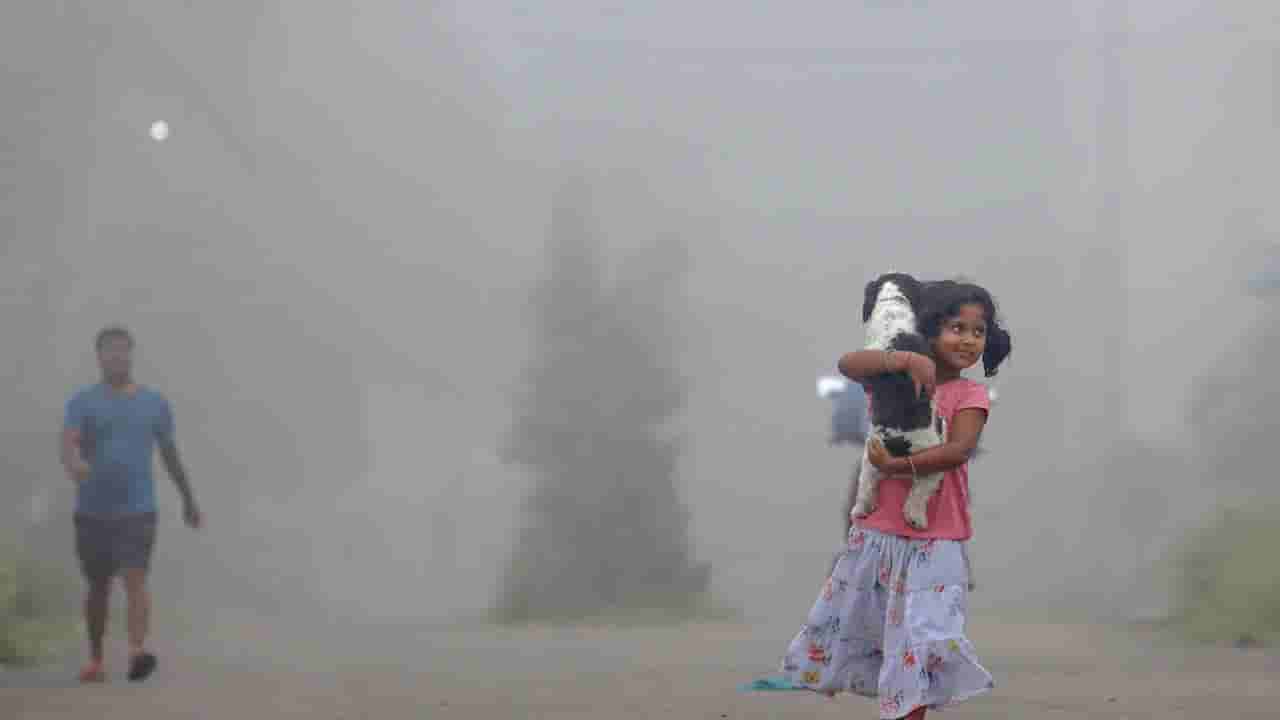 ಕರ್ನಾಟಕ ಹವಾಮಾನ ವರದಿ: ಬೆಂಗಳೂರಿನಲ್ಲಿ ಚಳಿ, ರಾಜ್ಯದೆಲ್ಲೆಡೆ ಒಣ ಹವೆ