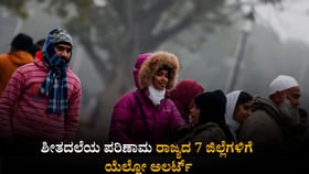 ಶೀತದಲೆಯ ಪರಿಣಾಮ ರಾಜ್ಯದ 7 ಜಿಲ್ಲೆಗಳಿಗೆ ಯೆಲ್ಲೋ ಅಲರ್ಟ್!