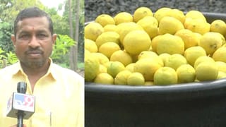 ಬೀದರ್​​ ರೈತನ ಕೈಹಿಡಿದ ಹಳದಿ ಸುಂದರಿ: ವರ್ಷಕ್ಕೆ ಲಕ್ಷಾಂತರ ರೂ ಆದಾಯ, ಆಧುನಿಕ ಯುಗದಲ್ಲಿ ಕೃಷಿ ಕ್ರಾಂತಿ