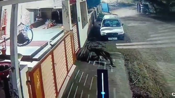 ಕಾಂಪೌಂಡ್ ಒಳಗಿದ್ದ ನಾಯಿಯನ್ನು ಬೇಟೆಯಾಡಲು ಬಂದ ಚಿರತೆ!