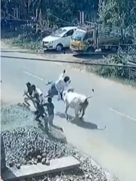 ಪಾದಚಾರಿಗೆ ಗುಮ್ಮಿದ ಹೋರಿ