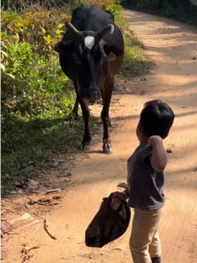 ಯಾಕೋ ಸಗಣಿ ಹಾಕಲ್ಲ