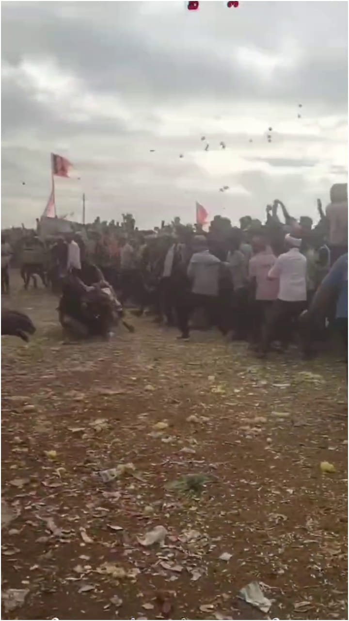 ಬಿದ್ದು ಕಾಲು ಮುರಿದರೂ ಓಡಿ ಅಖಾಡ ದಾಟಿದ ಕೊಬ್ಬರಿ ಹೋರಿ!