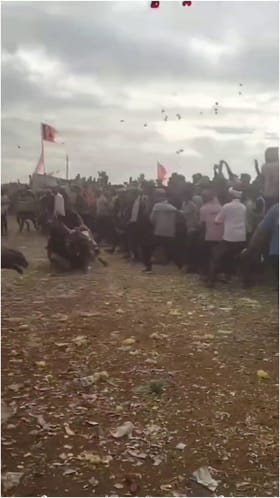 ಬಿದ್ದು ಕಾಲು ಮುರಿದರೂ ಓಡಿ ಅಖಾಡ ದಾಟಿದ ಕೊಬ್ಬರಿ ಹೋರಿ!