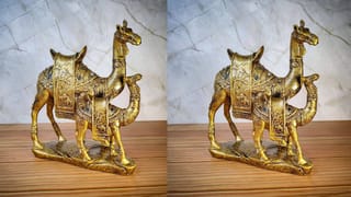 Neelam Stone: ನೀಲಿ ನೀಲಮಣಿಯನ್ನು ಧರಿಸುವ ಮುನ್ನ ಈ ವಿಷ್ಯ ತಿಳಿದುಕೊಳ್ಳಿ