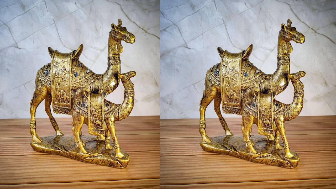 Vasthu Tips: ಮನೆಯ ಈ ದಿಕ್ಕಿನಲ್ಲಿ ಜೋಡಿ ಒಂಟೆಯ ಪ್ರತಿಮೆ ಇರಿಸಿ; ಹಣಕ್ಕೆಂದೂ ಕೊರತೆಯಾಗದು! Vasthu Tips: ಮನೆಯ ಈ ದಿಕ್ಕಿನಲ್ಲಿ ಜೋಡಿ ಒಂಟೆಯ ಪ್ರತಿಮೆ ಇರಿಸಿ; ಹಣಕ್ಕೆಂದೂ ಕೊರತೆಯಾಗದು!